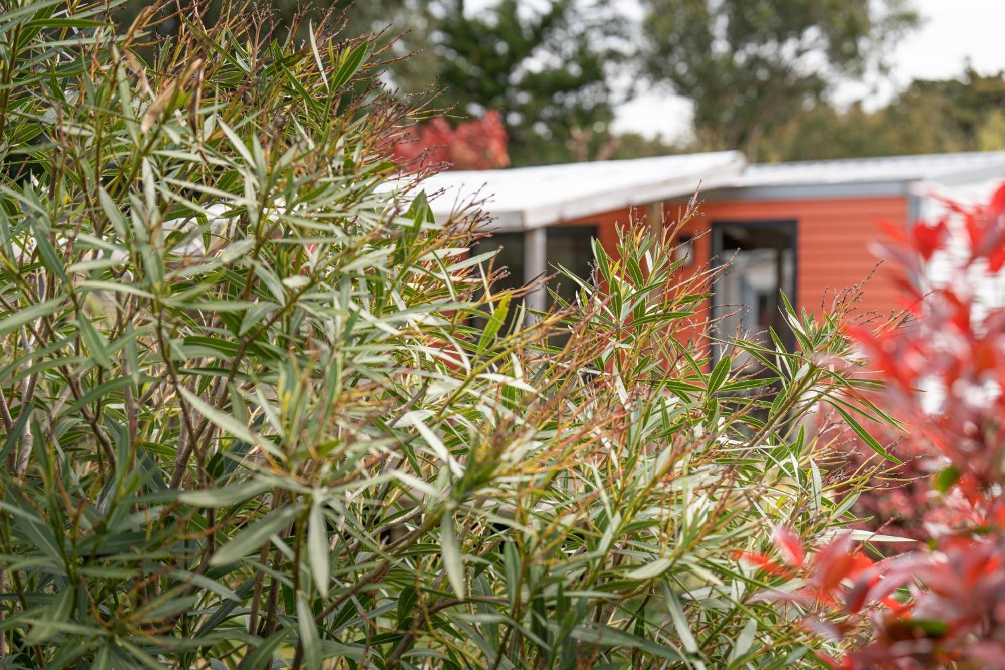 Camping Antioche D'Oléron La Brée-les-Bains Exterior foto
